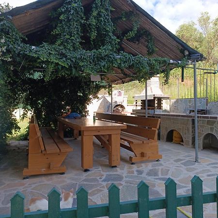 Anestis Apartments & Rooms PalaiónTsiflíkion Kültér fotó