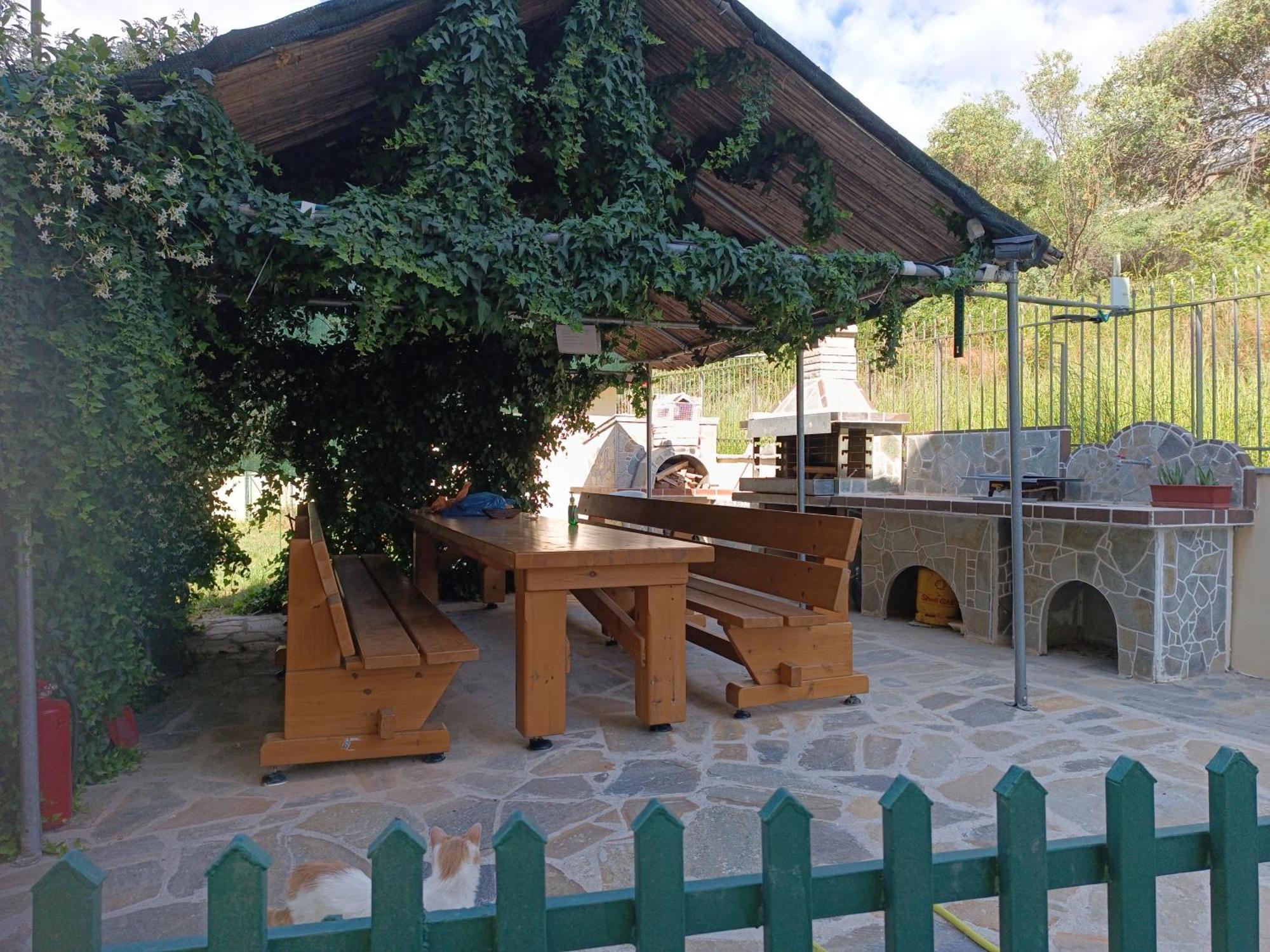 Anestis Apartments & Rooms PalaiónTsiflíkion Kültér fotó